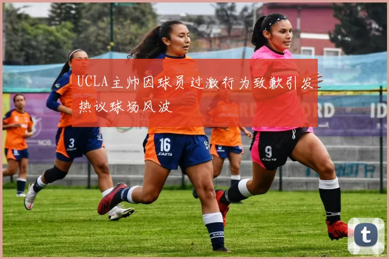 UCLA主帅因球员过激行为致歉引发热议球场风波
